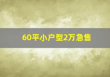 60平小户型2万急售