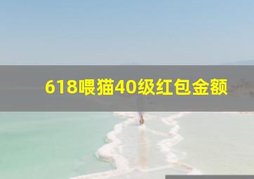 618喂猫40级红包金额