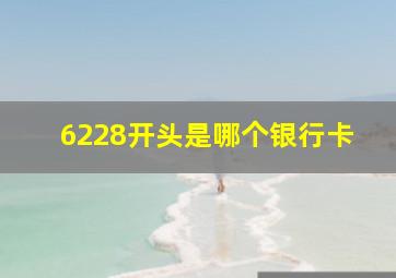 6228开头是哪个银行卡