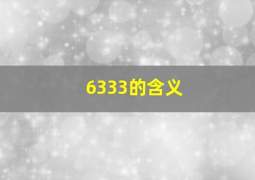 6333的含义