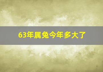 63年属兔今年多大了