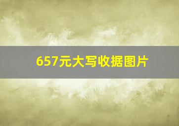 657元大写收据图片