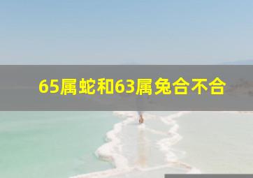 65属蛇和63属兔合不合