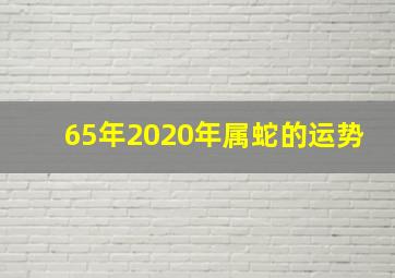 65年2020年属蛇的运势