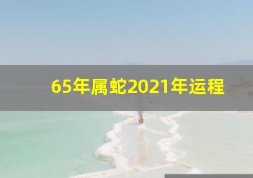 65年属蛇2021年运程