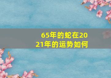 65年的蛇在2021年的运势如何