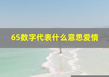 65数字代表什么意思爱情