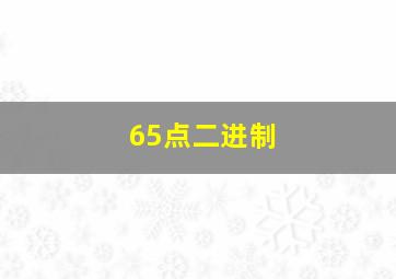 65点二进制