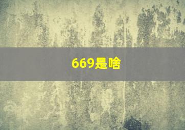 669是啥