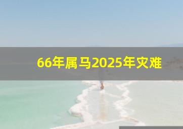 66年属马2025年灾难