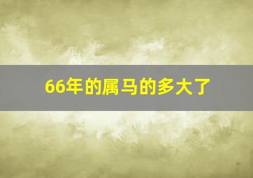 66年的属马的多大了