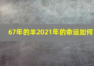 67年的羊2021年的命运如何