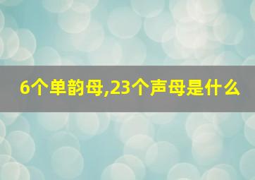 6个单韵母,23个声母是什么