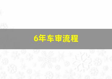 6年车审流程