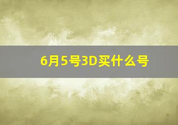 6月5号3D买什么号