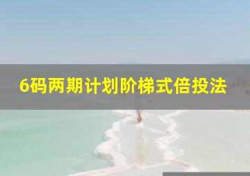 6码两期计划阶梯式倍投法