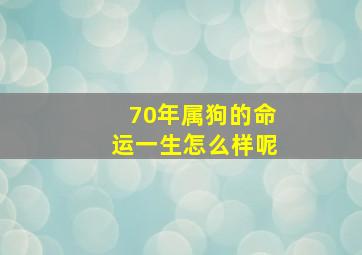 70年属狗的命运一生怎么样呢