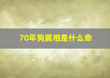 70年狗属相是什么命