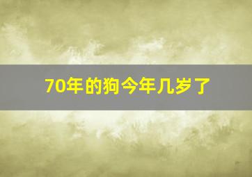 70年的狗今年几岁了