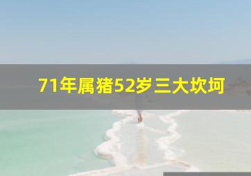 71年属猪52岁三大坎坷