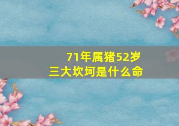 71年属猪52岁三大坎坷是什么命