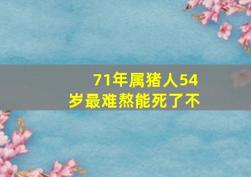 71年属猪人54岁最难熬能死了不