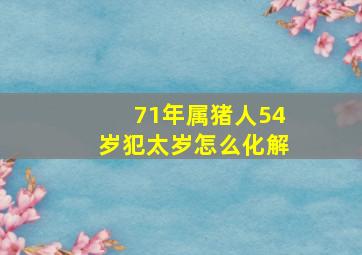 71年属猪人54岁犯太岁怎么化解