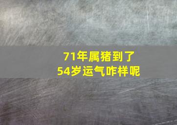 71年属猪到了54岁运气咋样呢