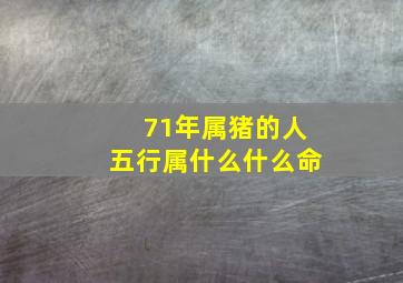 71年属猪的人五行属什么什么命