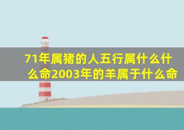 71年属猪的人五行属什么什么命2003年的羊属于什么命