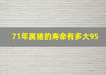 71年属猪的寿命有多大95