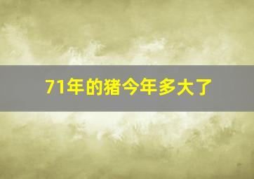 71年的猪今年多大了