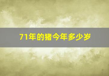 71年的猪今年多少岁