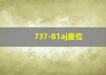 737-81aj座位