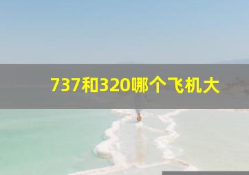 737和320哪个飞机大