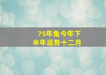 75年兔今年下半年运势十二月