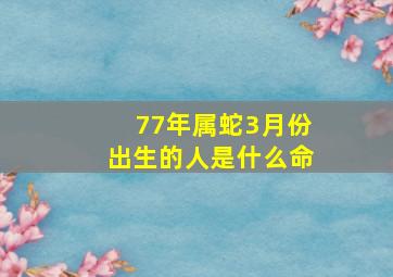 77年属蛇3月份出生的人是什么命