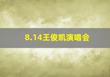 8.14王俊凯演唱会