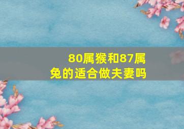 80属猴和87属兔的适合做夫妻吗