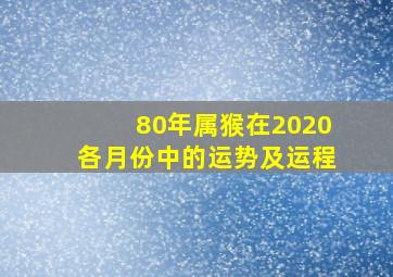 80年属猴在2020各月份中的运势及运程