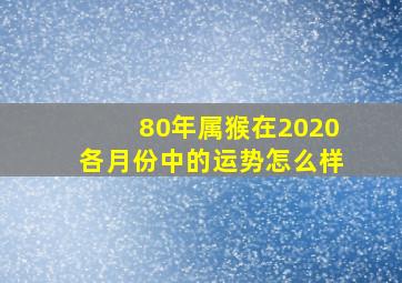 80年属猴在2020各月份中的运势怎么样