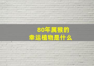 80年属猴的幸运植物是什么