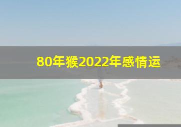 80年猴2022年感情运