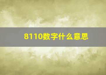 8110数字什么意思