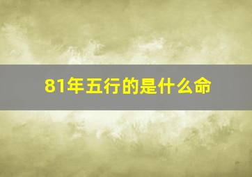 81年五行的是什么命