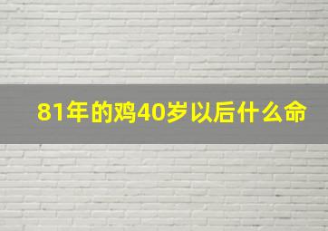 81年的鸡40岁以后什么命