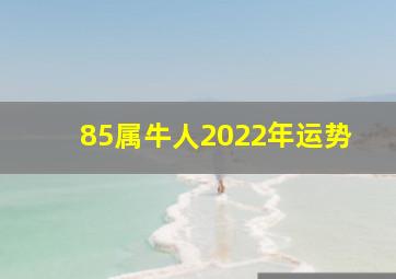 85属牛人2022年运势