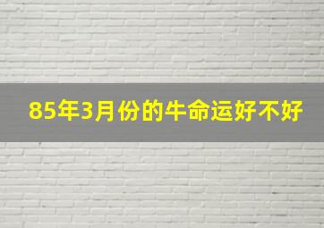 85年3月份的牛命运好不好