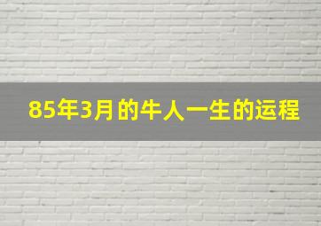 85年3月的牛人一生的运程