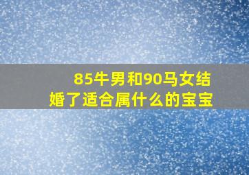 85牛男和90马女结婚了适合属什么的宝宝